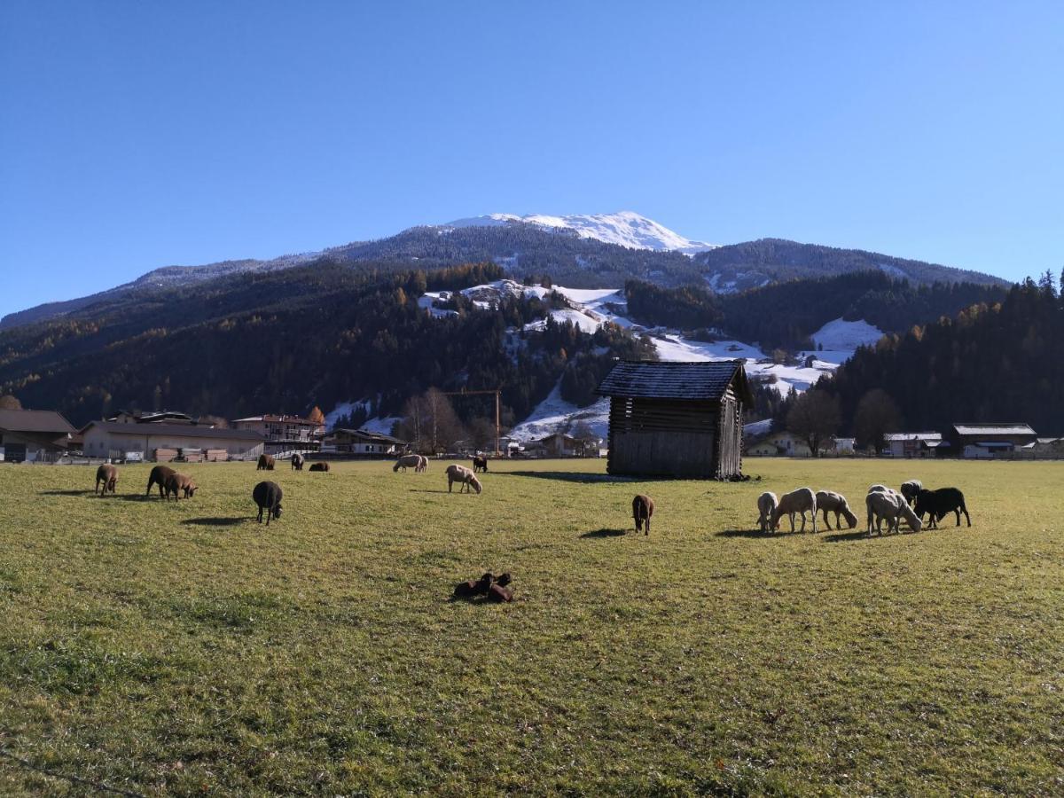 Alpen Chalet Bramberg Bramberg am Wildkogel Zewnętrze zdjęcie